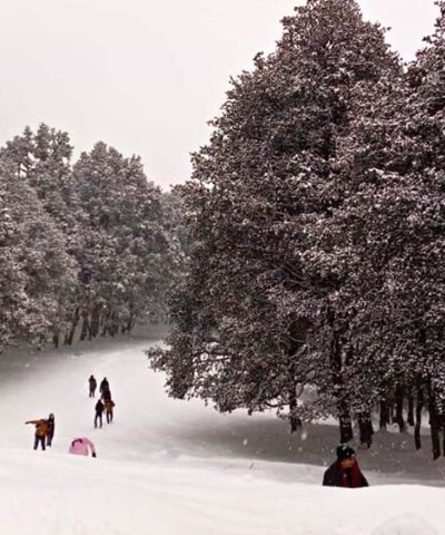 Auli Weekend Tour