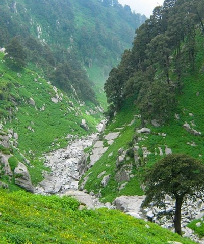 Triund Trek