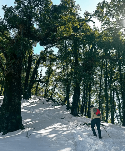 Nag Tibba Trek