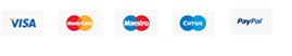 Payment